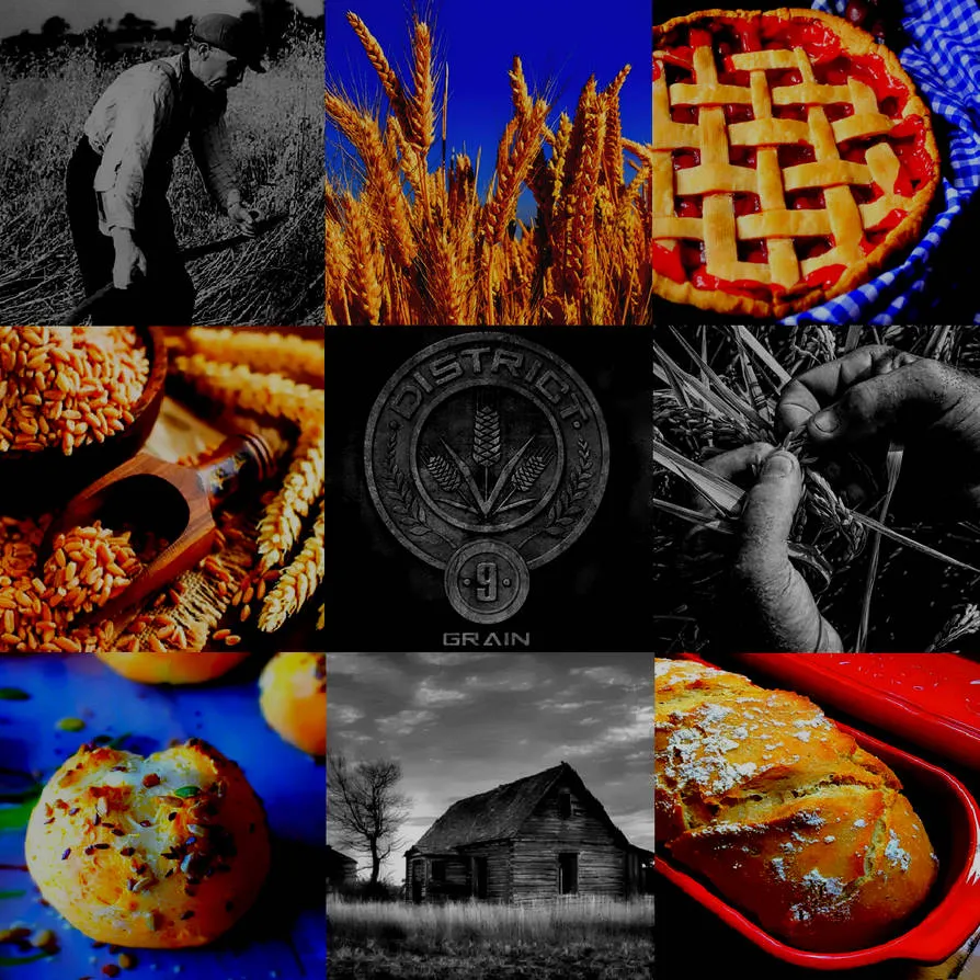 District 9